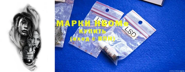 хмурый Алексин