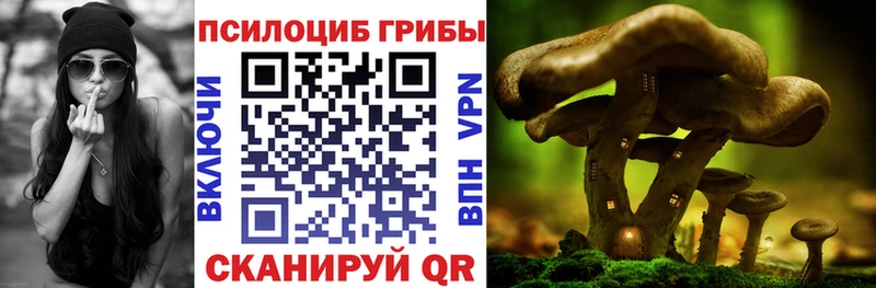Псилоцибиновые грибы мухоморы  blacksprut зеркало  Каменка 